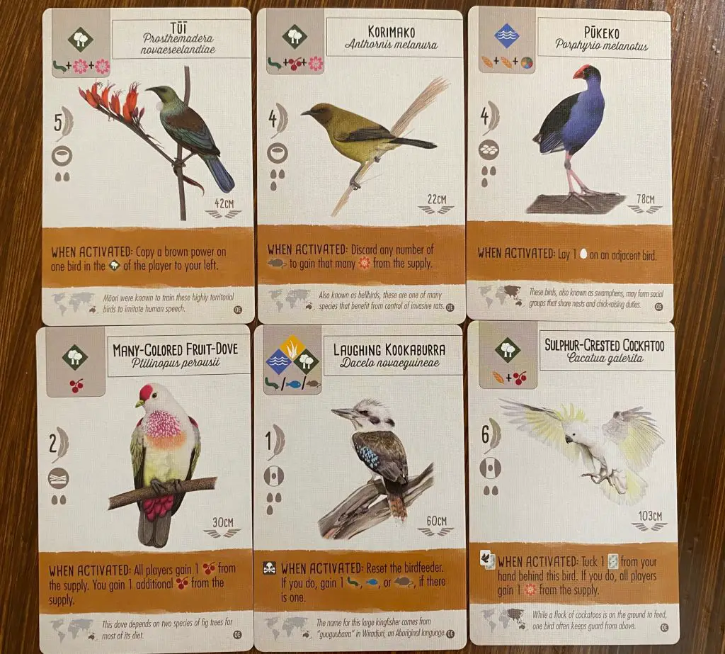 Wingspan oceania expansion cards